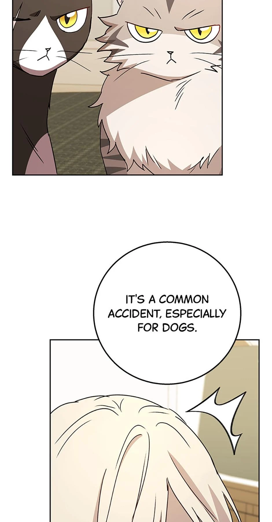 Hello, Mr. Veterinarian! Chapter 82 page 21 - 