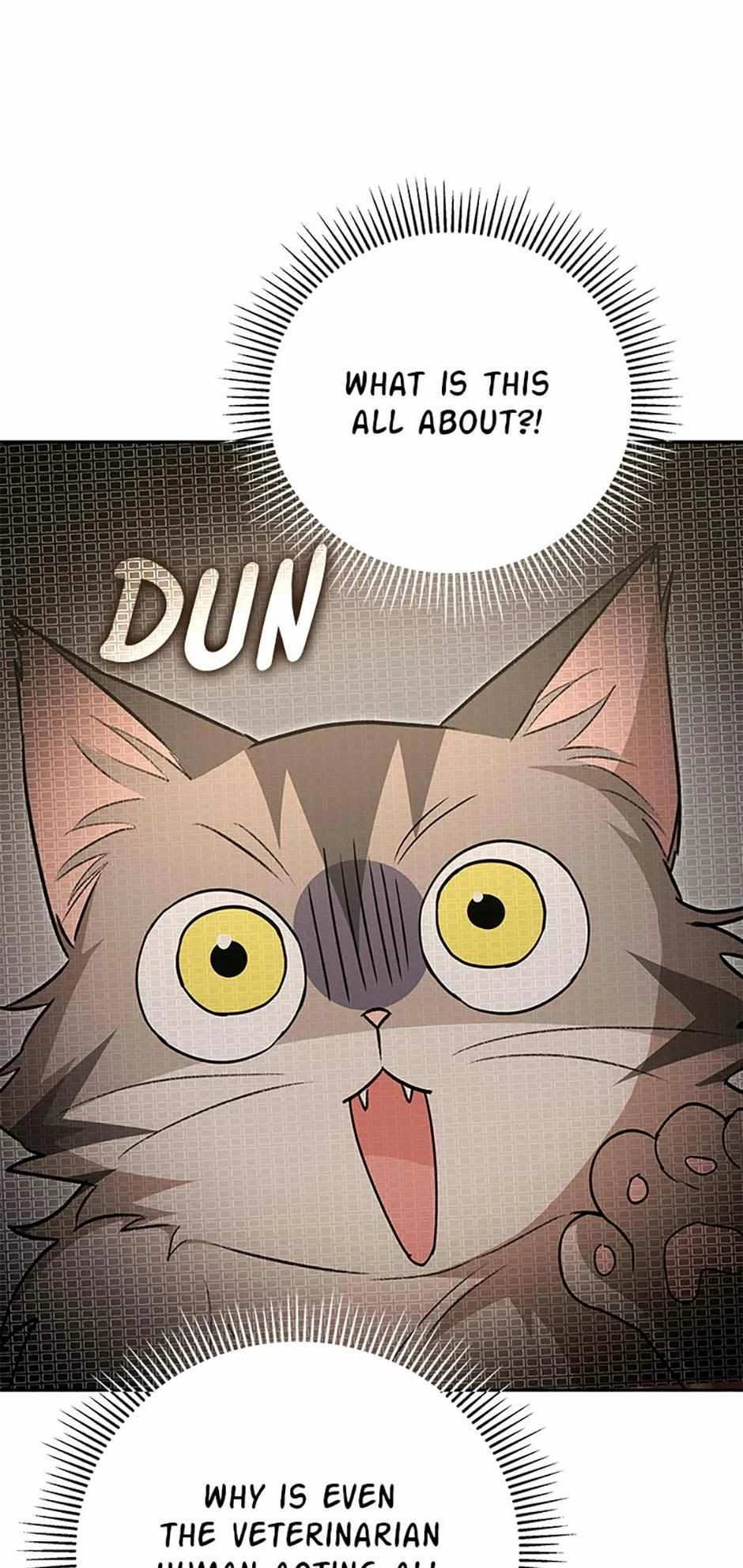 Hello, Mr. Veterinarian! Chapter 83 page 46 - 