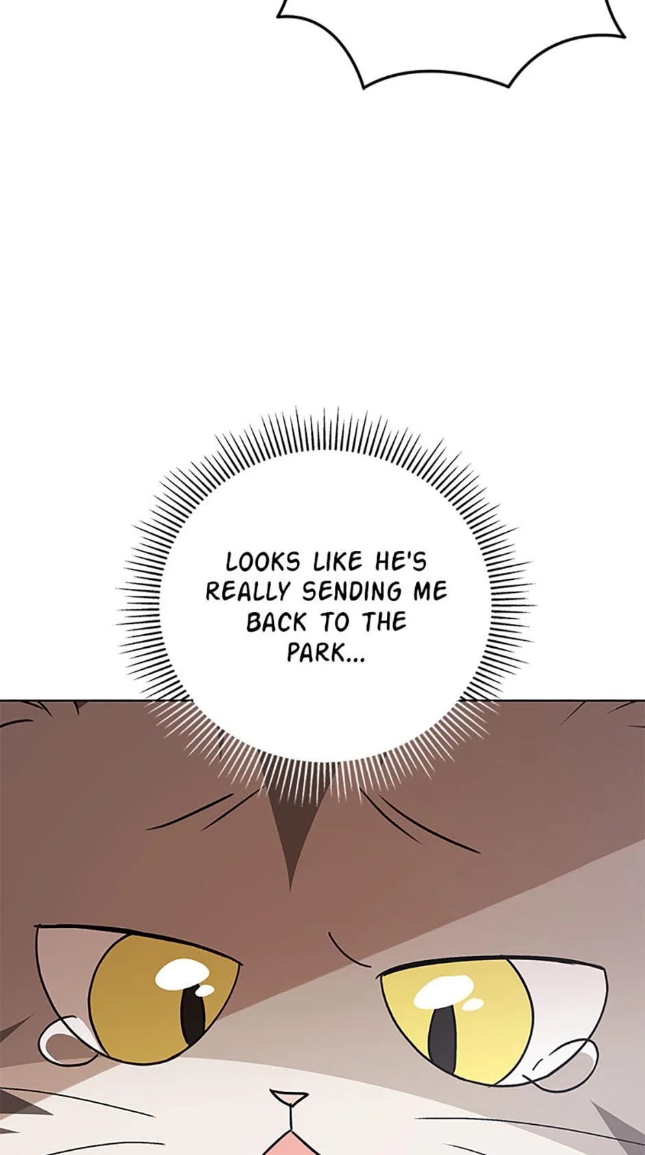 Hello, Mr. Veterinarian! Chapter 83 page 52 - 