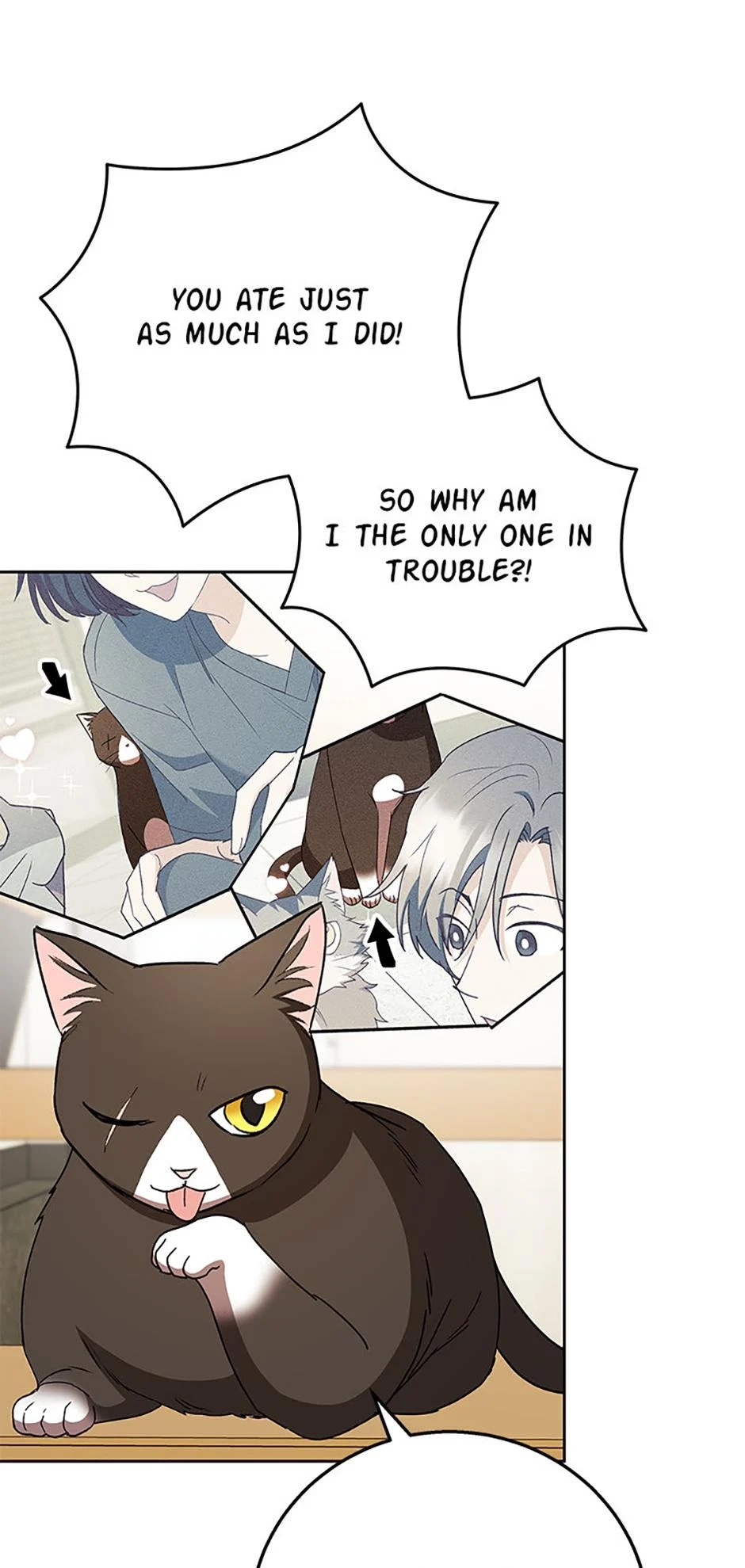 Hello, Mr. Veterinarian! Chapter 84 page 29 - 