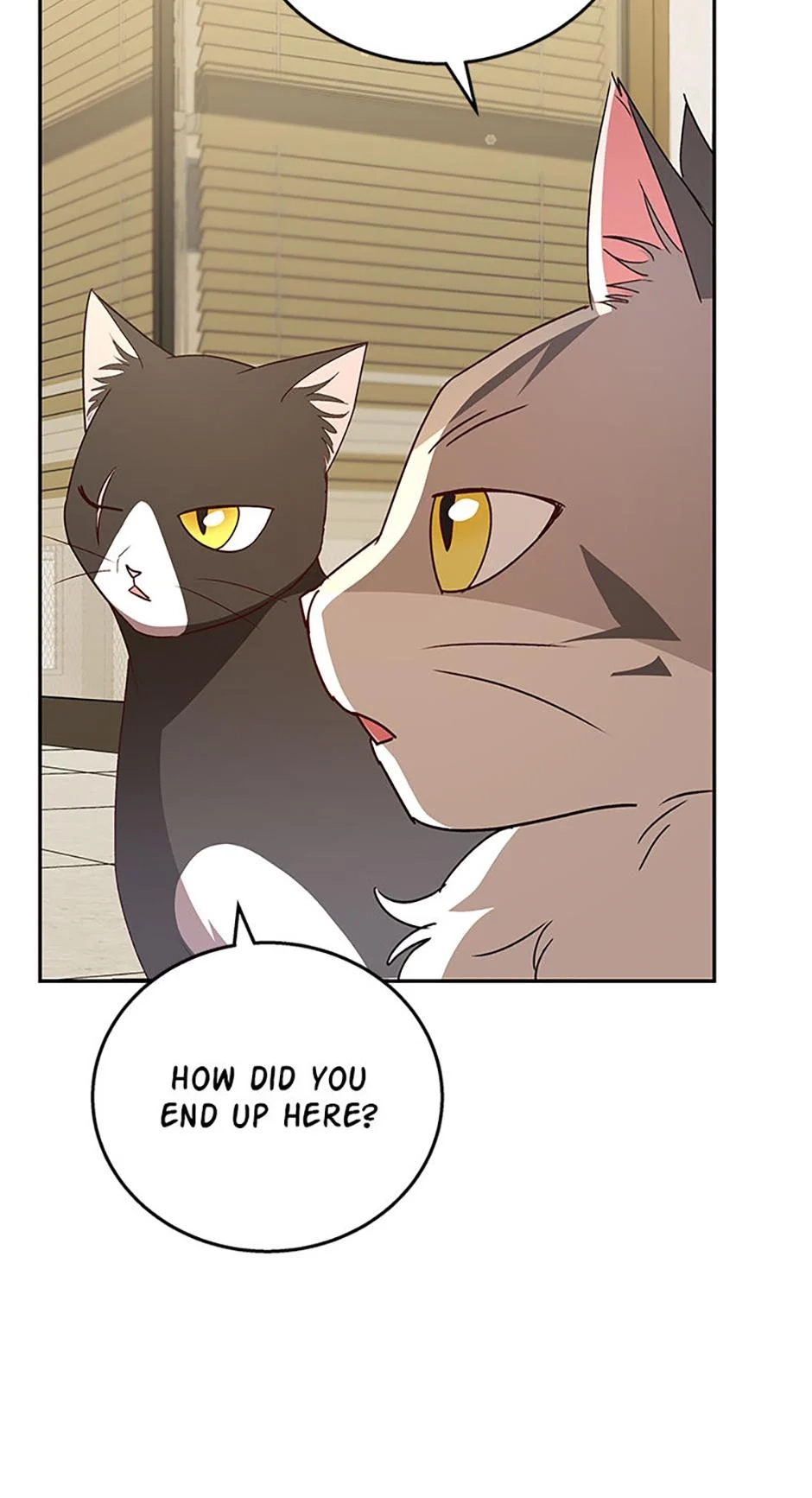 Hello, Mr. Veterinarian! Chapter 85 page 33 - 