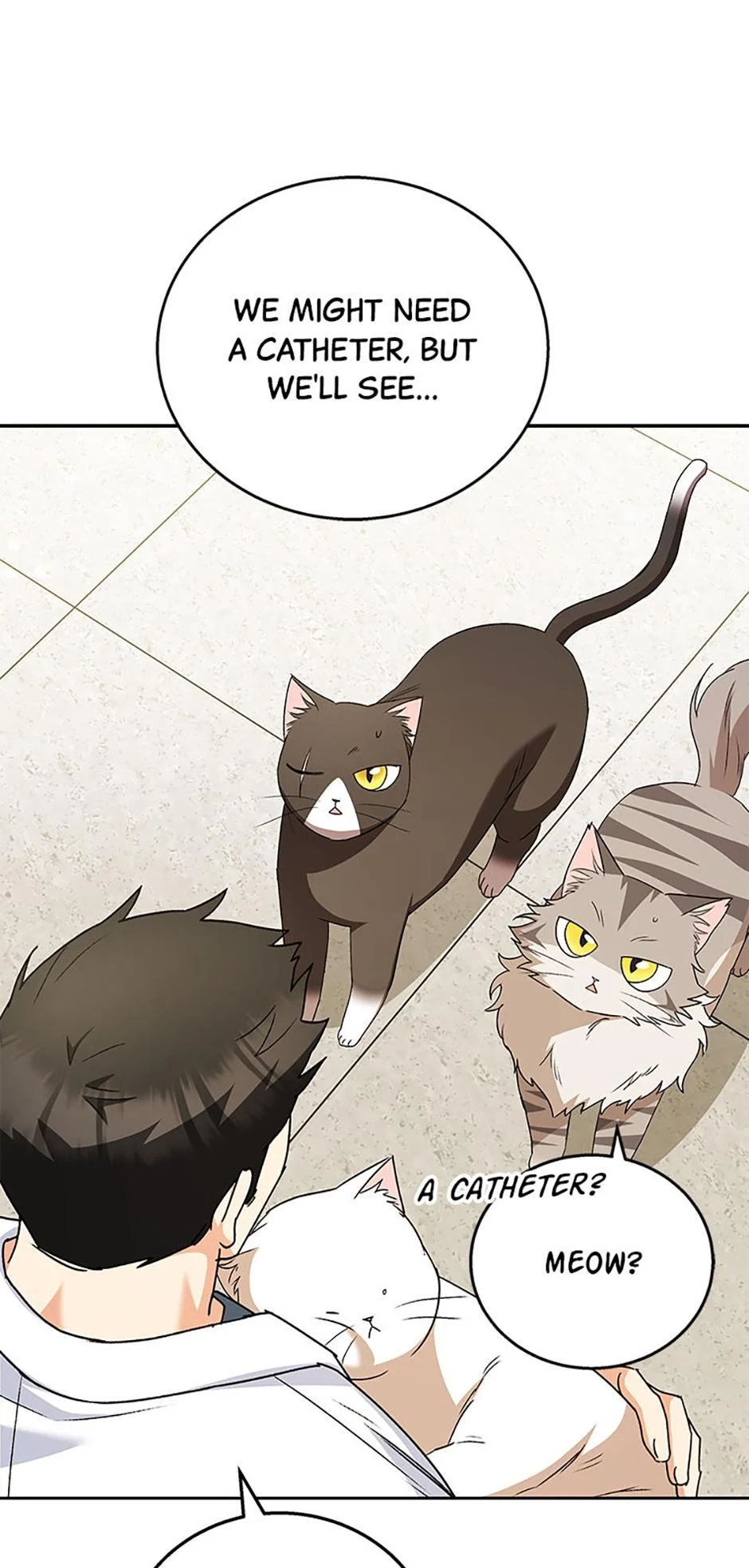 Hello, Mr. Veterinarian! Chapter 85 page 48 - 