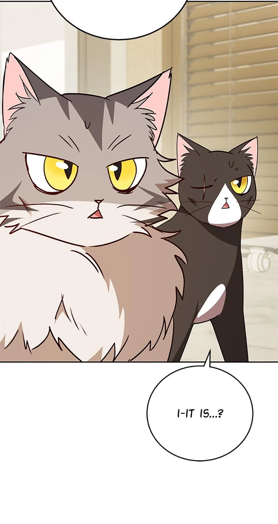 Hello, Mr. Veterinarian! Chapter 85 page 82 - 
