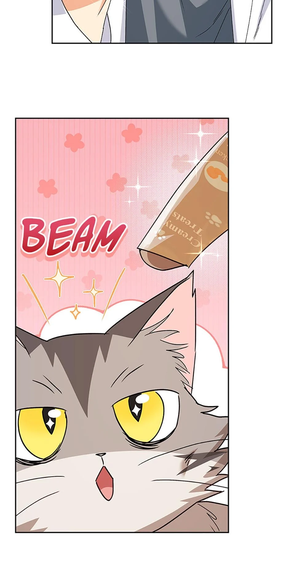 Hello, Mr. Veterinarian! Chapter 85 page 85 - 