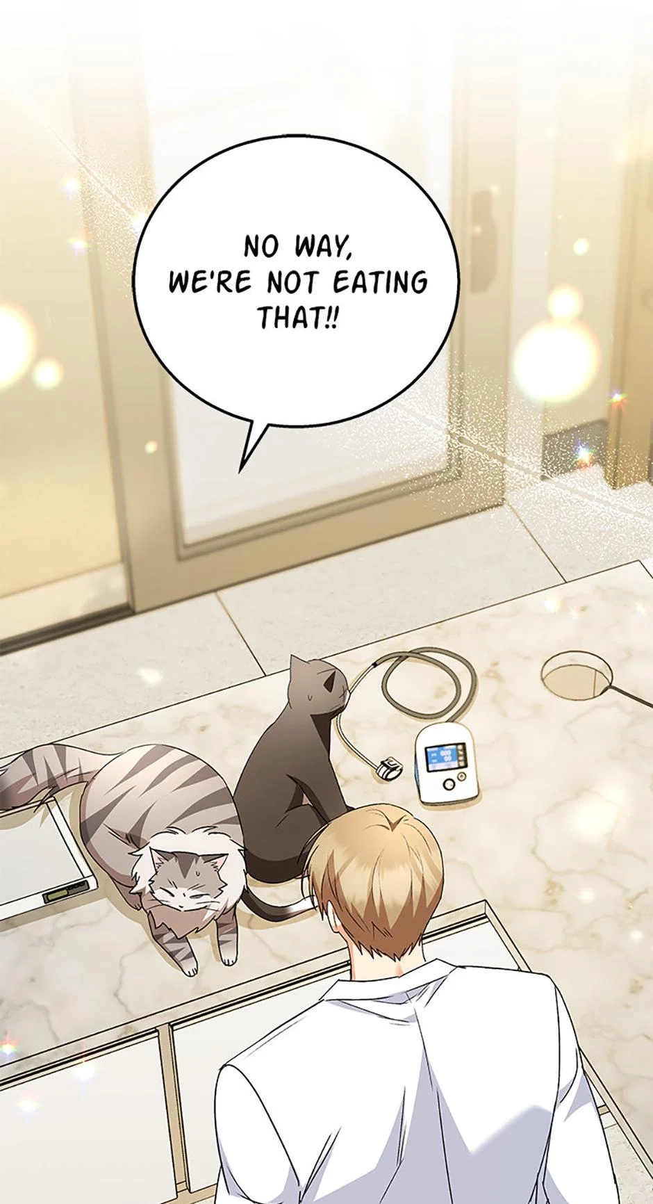 Hello, Mr. Veterinarian! Chapter 85 page 88 - 