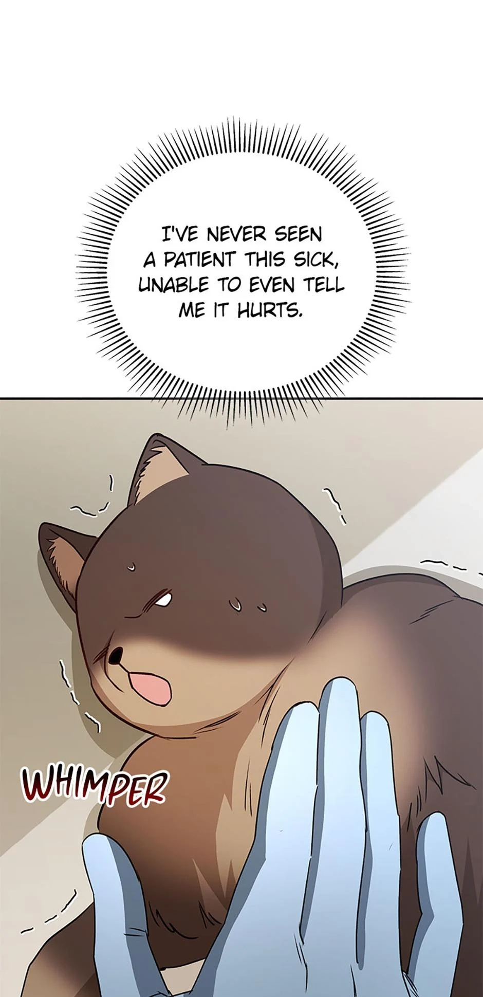 Hello, Mr. Veterinarian! Chapter 89 page 12 - 
