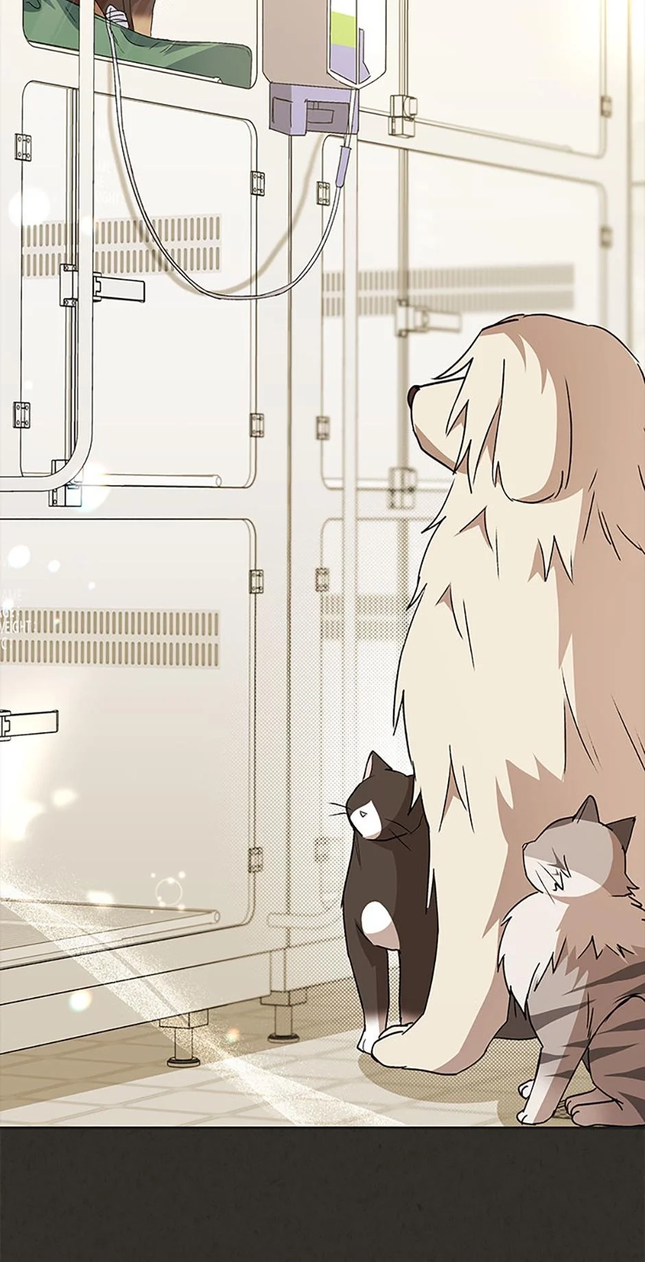 Hello, Mr. Veterinarian! Chapter 91 page 12 - 