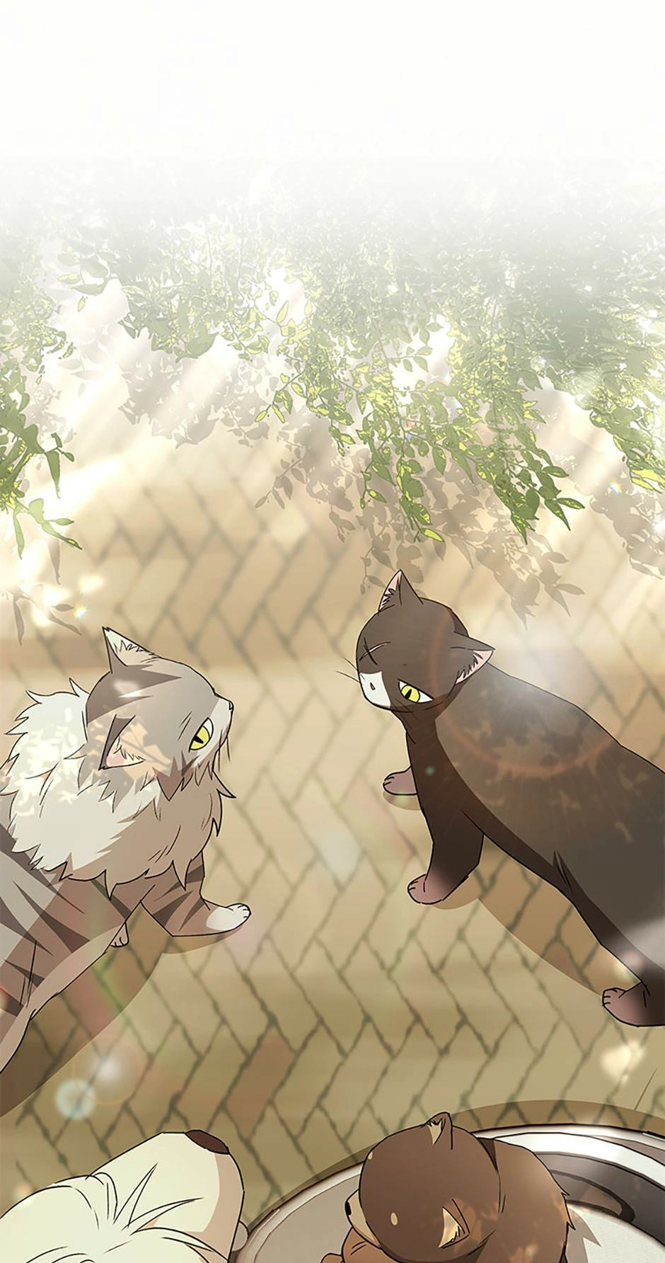 Hello, Mr. Veterinarian! Chapter 91 page 26 - 