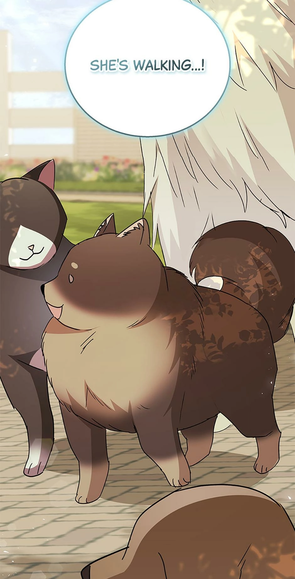 Hello, Mr. Veterinarian! Chapter 91 page 42 - 