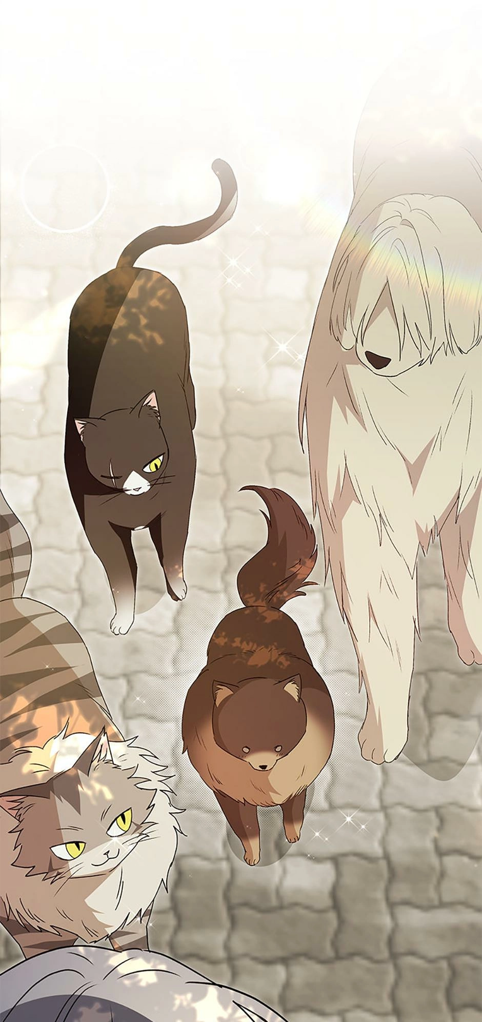 Hello, Mr. Veterinarian! Chapter 91 page 57 - 