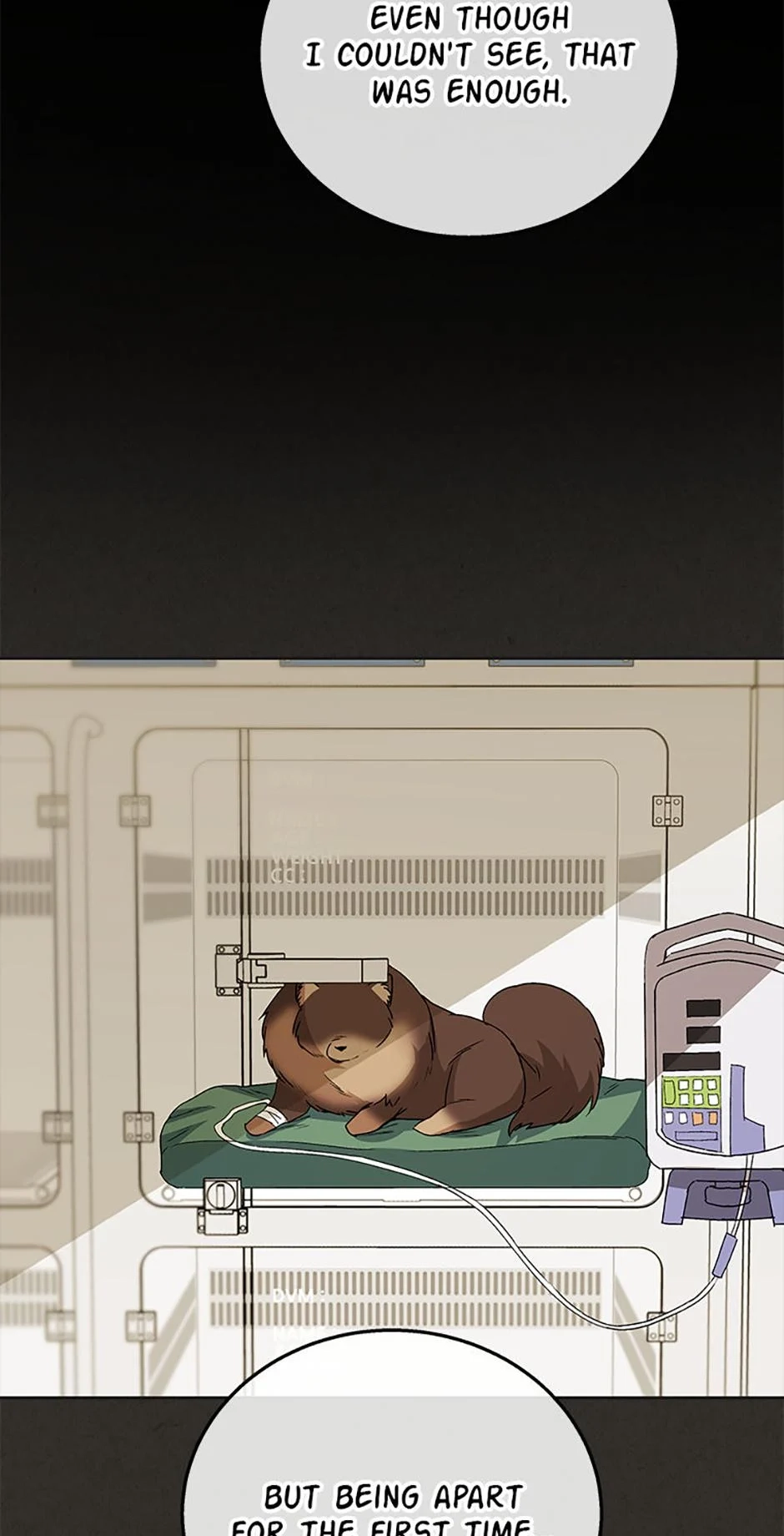 Hello, Mr. Veterinarian! Chapter 91 page 7 - 