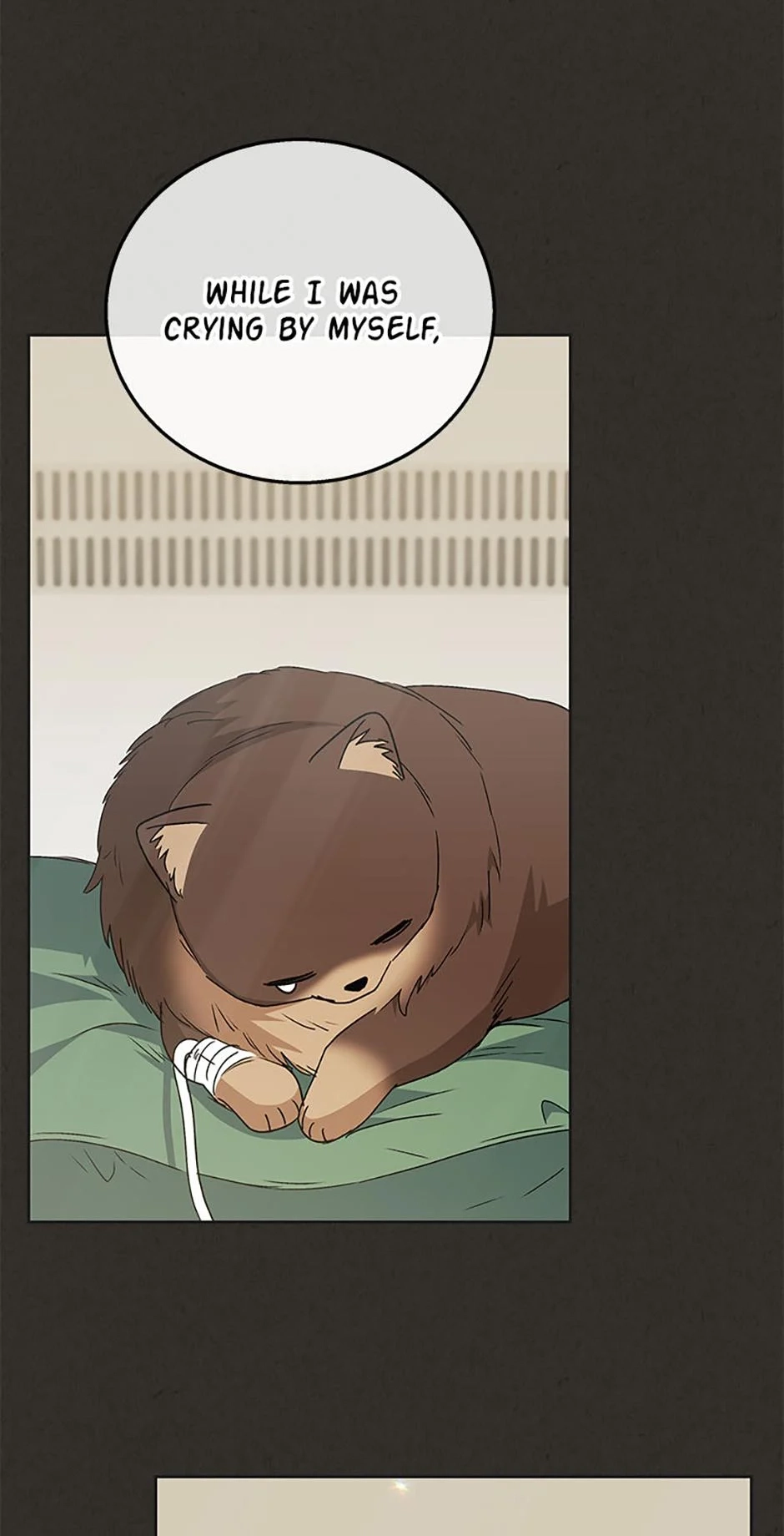 Hello, Mr. Veterinarian! Chapter 91 page 9 - 