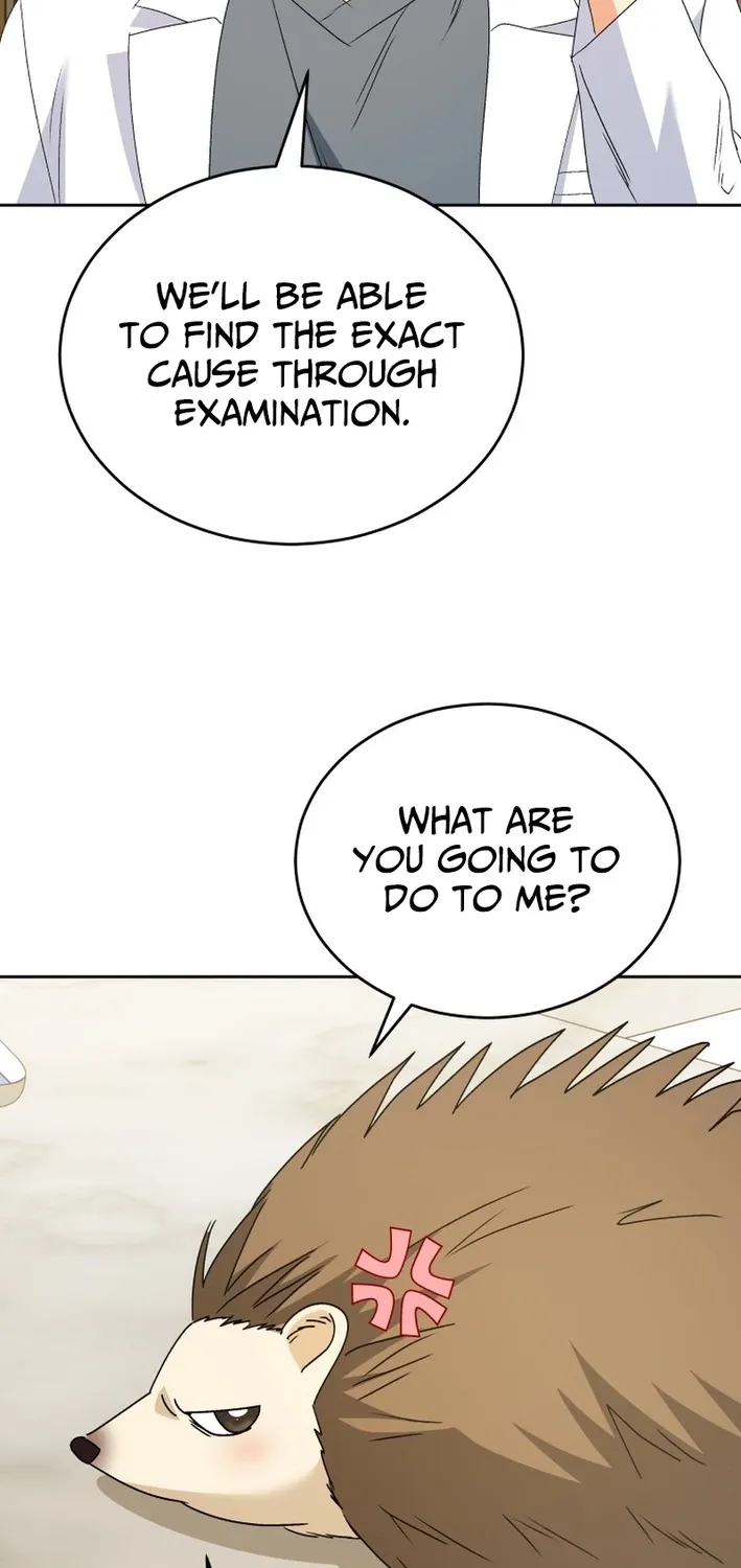 Hello, Mr. Veterinarian! Chapter 99 page 67 - 
