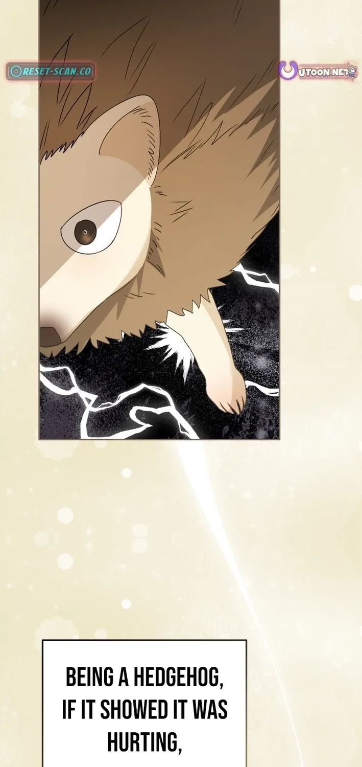 Hello, Mr. Veterinarian! Chapter 99 page 73 - 