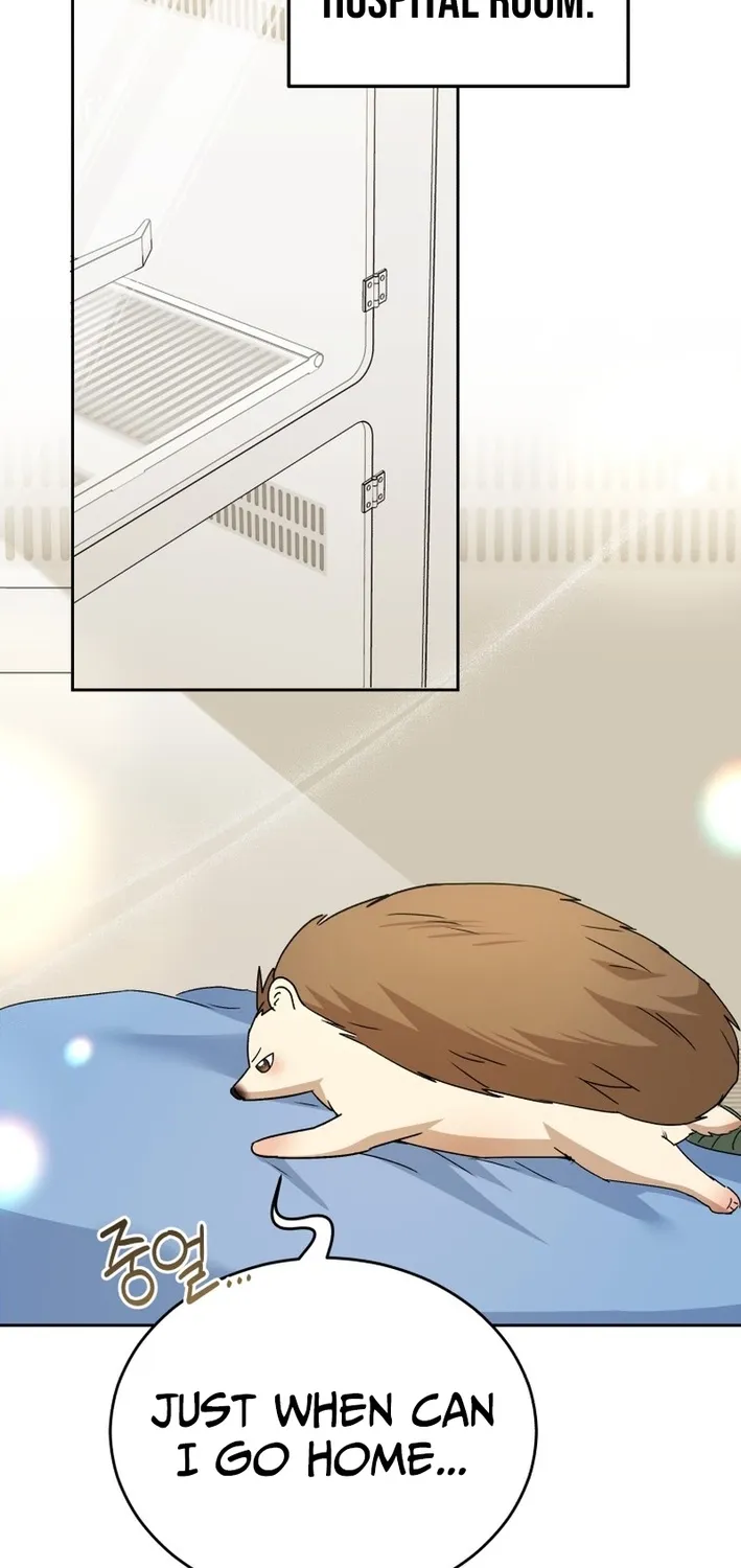 Hello, Mr. Veterinarian! Chapter 99 page 81 - 