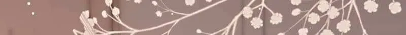 Hello! The nobleman system is at your service Chapter 13 page 19 - 
