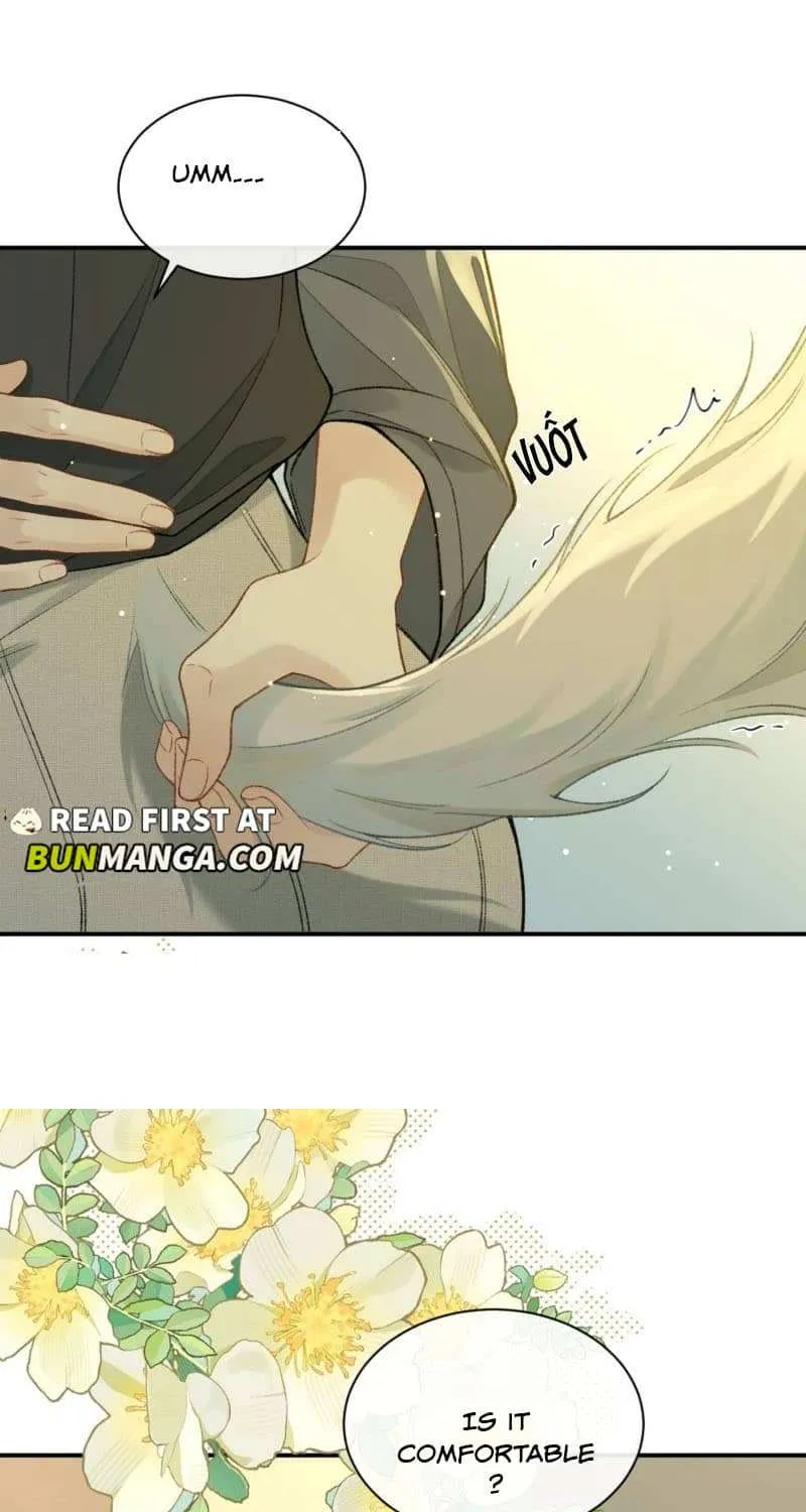 Hello! The nobleman system is at your service Chapter 16 page 25 - 