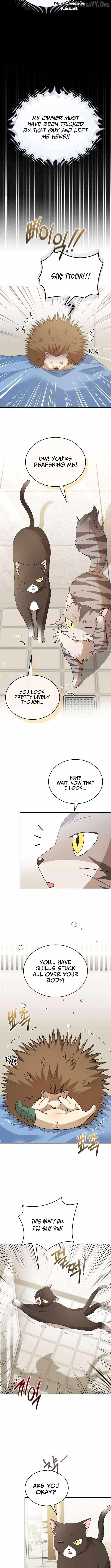 Hello! Veterinarian! Chapter 100 page 5 - 
