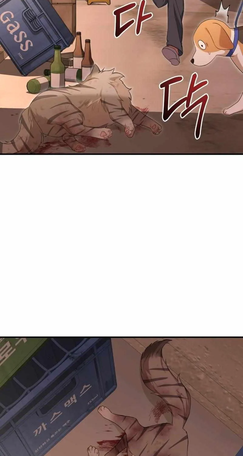 Hello! Veterinarian! Chapter 13 page 4 - 