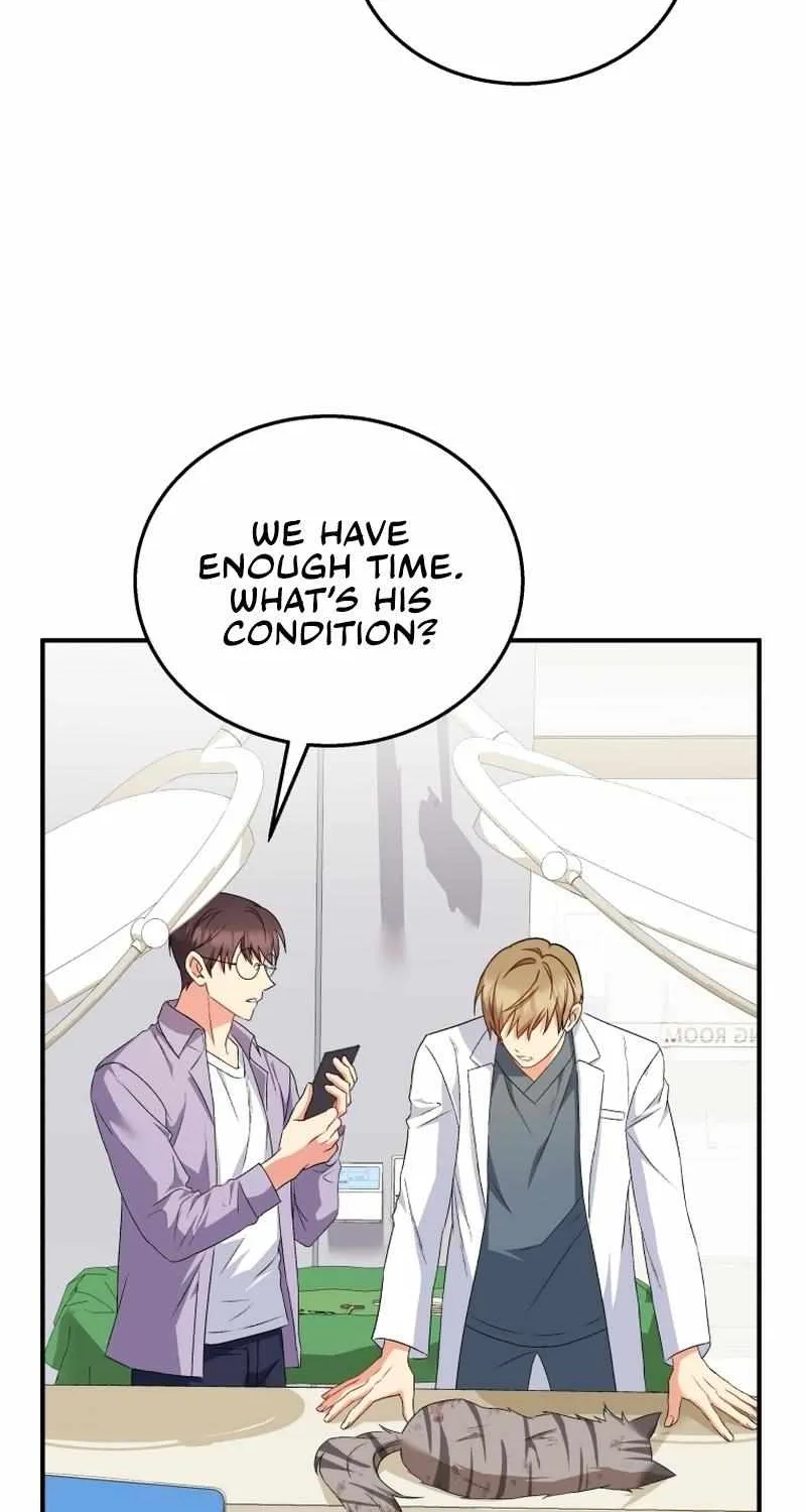 Hello! Veterinarian! Chapter 13 page 32 - 