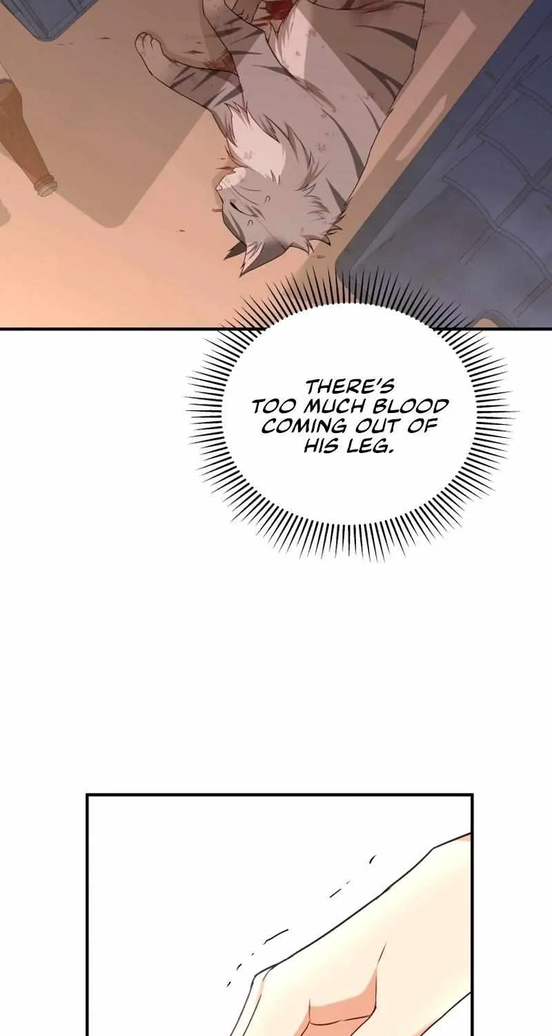 Hello! Veterinarian! Chapter 13 page 5 - 