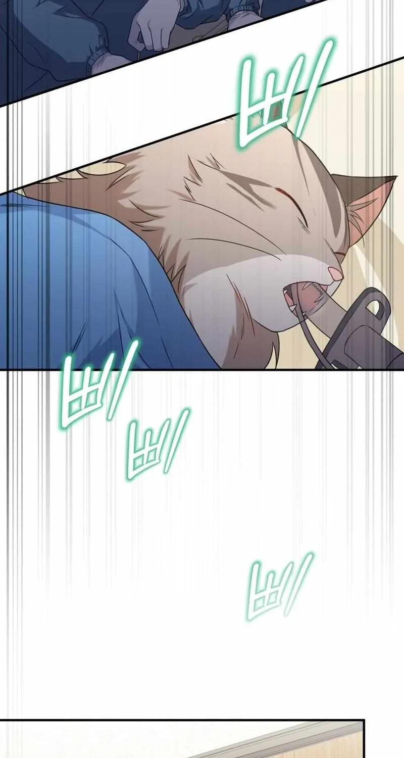Hello! Veterinarian! Chapter 13 page 45 - 