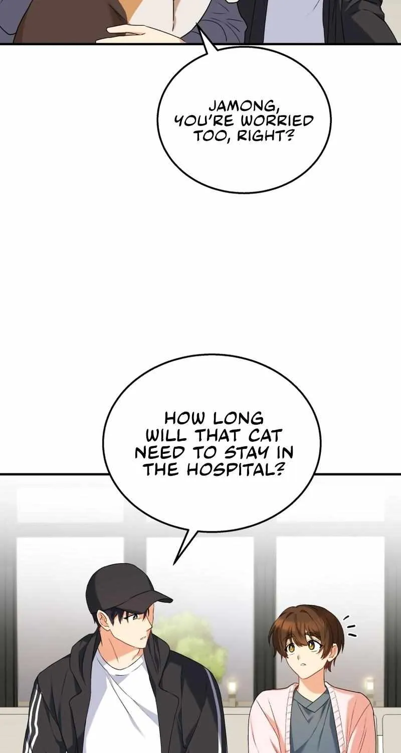 Hello! Veterinarian! Chapter 13 page 48 - 