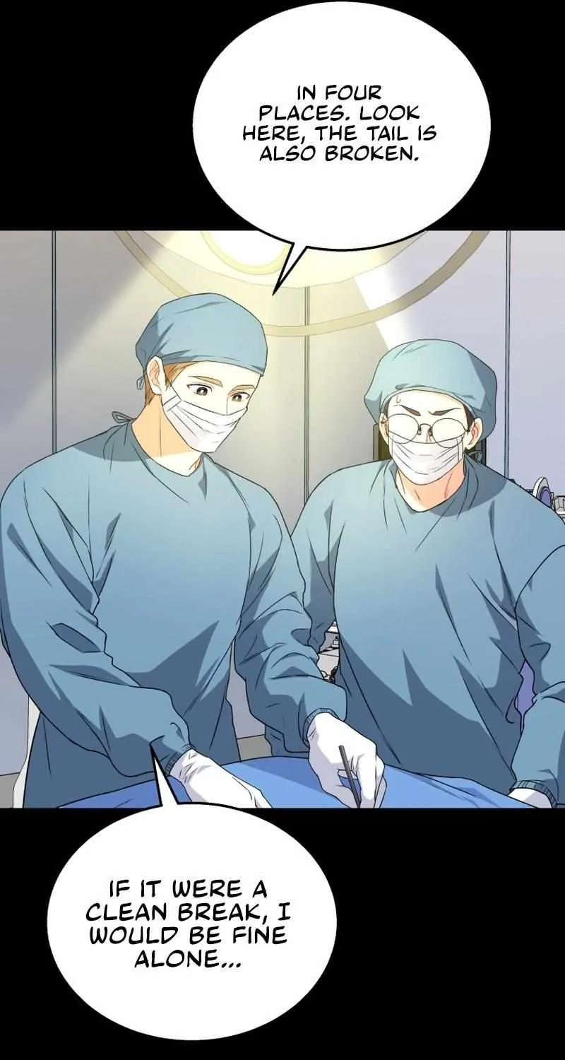 Hello! Veterinarian! Chapter 14 page 29 - 