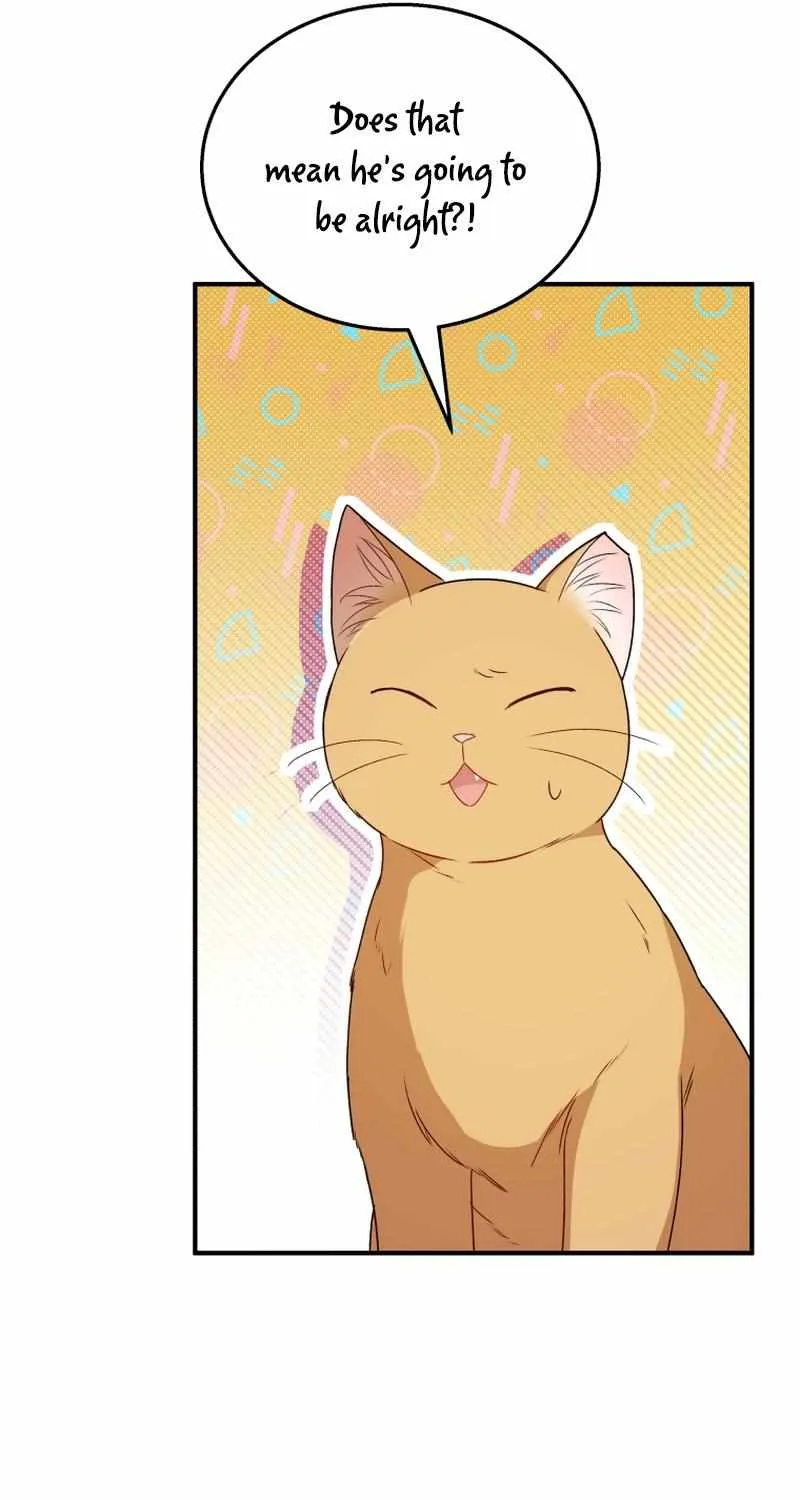 Hello! Veterinarian! Chapter 14 page 49 - 