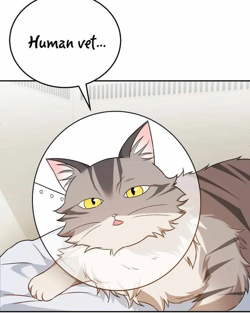 Hello! Veterinarian! Chapter 14 page 76 - 