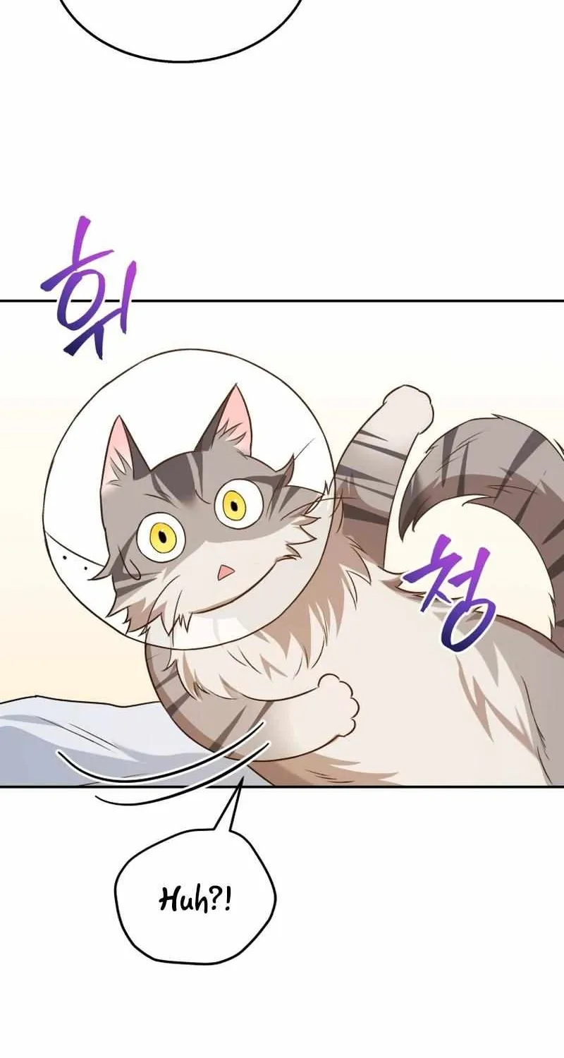 Hello! Veterinarian! Chapter 14 page 78 - 