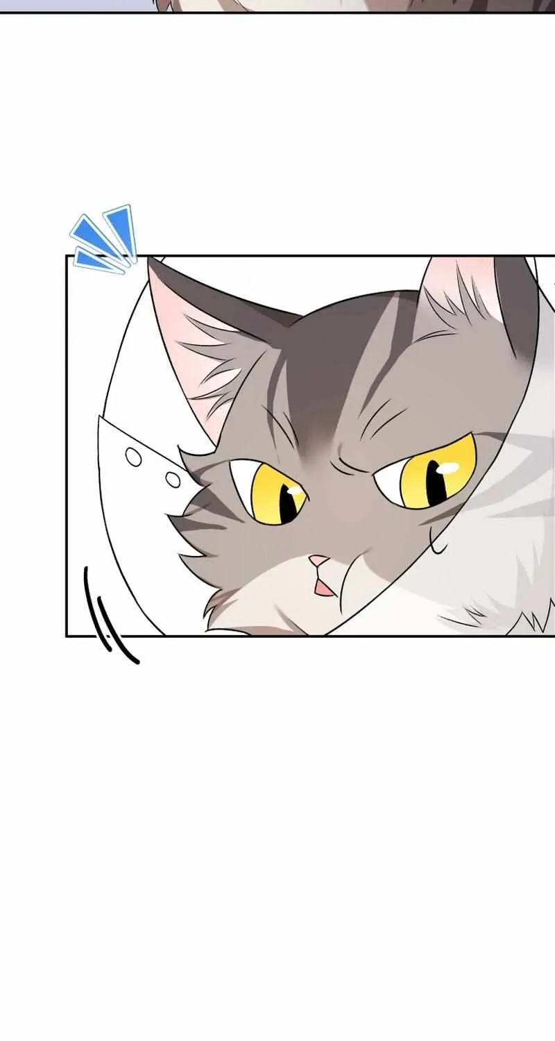 Hello! Veterinarian! Chapter 14 page 81 - 
