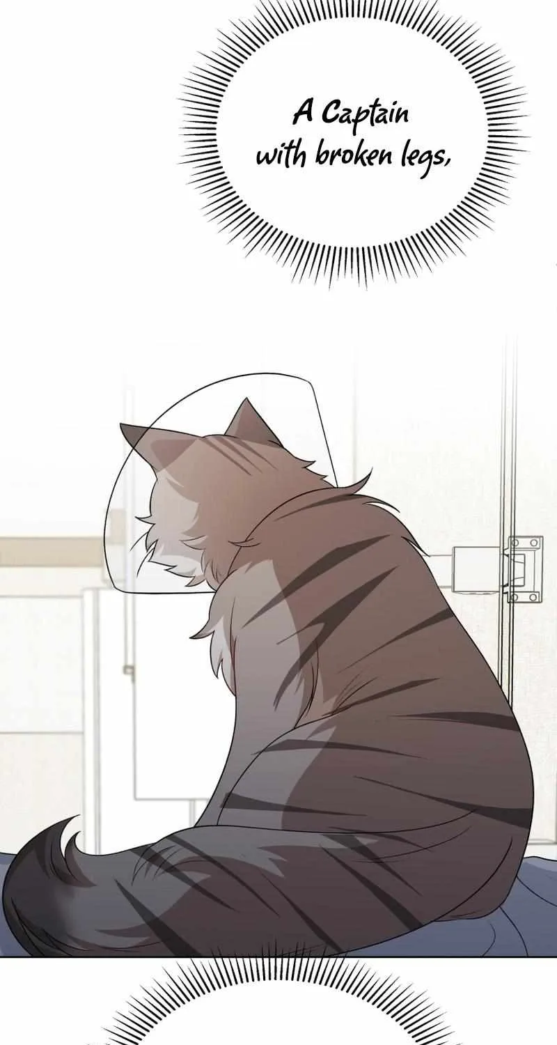 Hello! Veterinarian! Chapter 15 page 19 - 