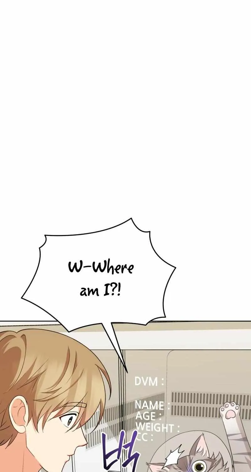 Hello! Veterinarian! Chapter 15 page 3 - 