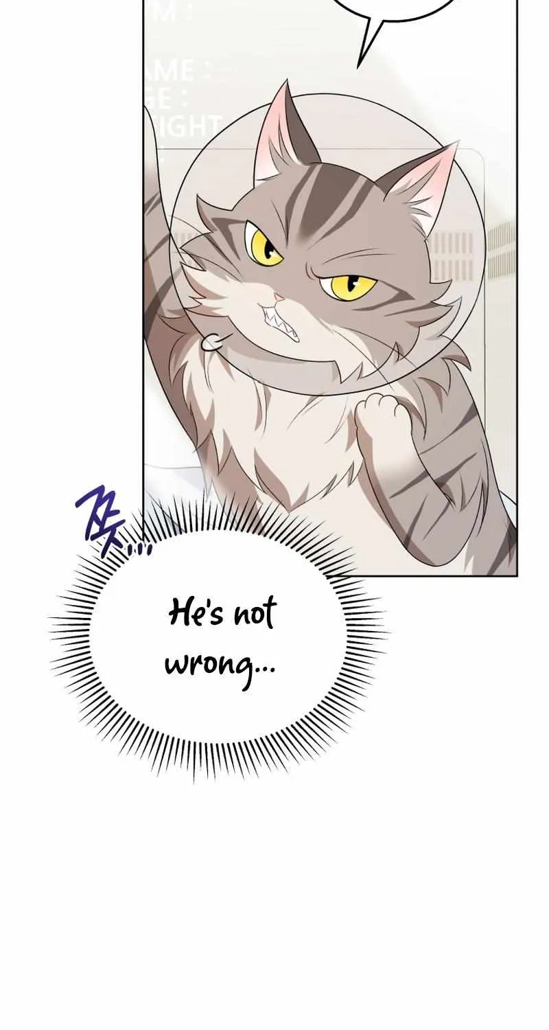 Hello! Veterinarian! Chapter 15 page 34 - 