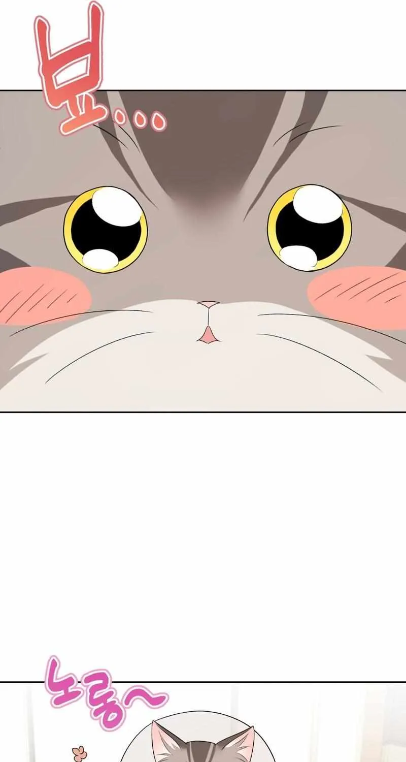 Hello! Veterinarian! Chapter 15 page 45 - 