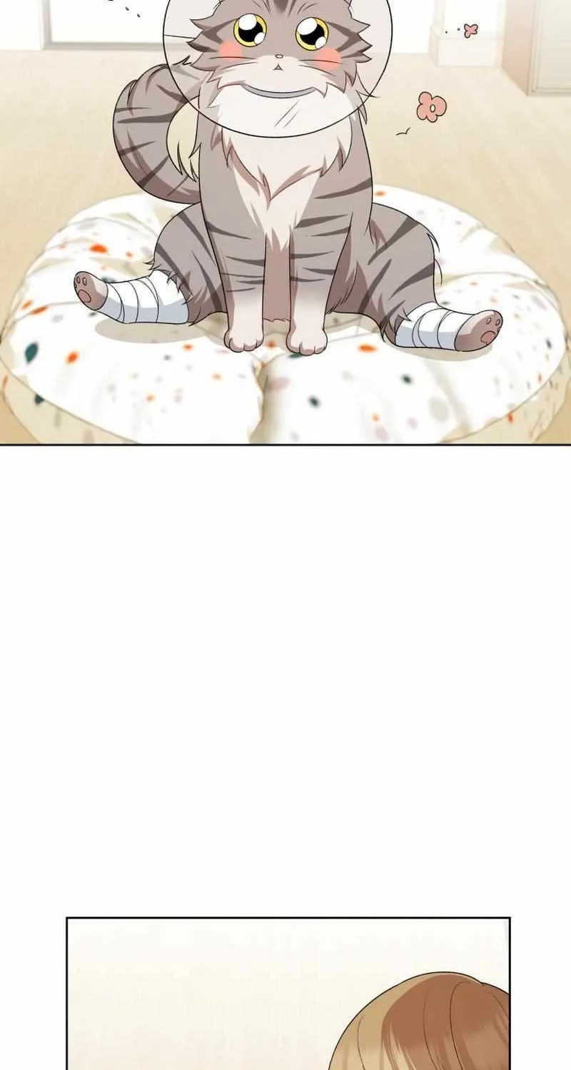 Hello! Veterinarian! Chapter 15 page 46 - 