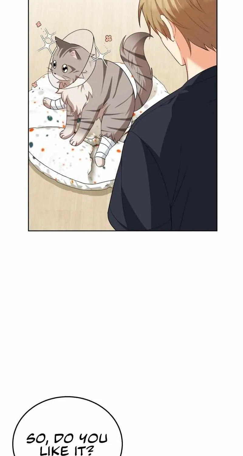 Hello! Veterinarian! Chapter 15 page 47 - 