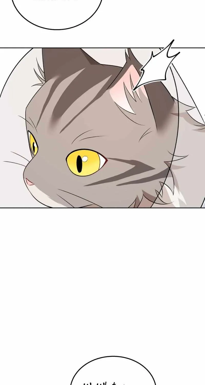 Hello! Veterinarian! Chapter 15 page 48 - 