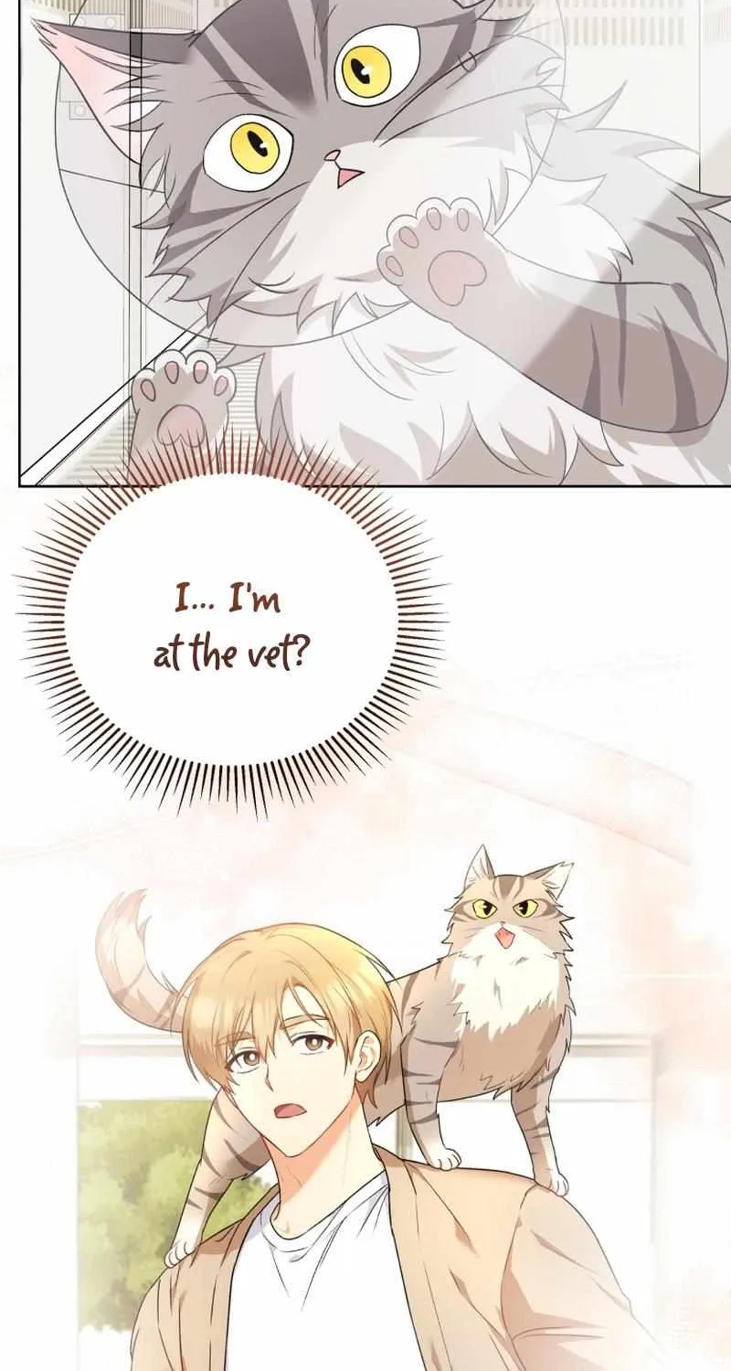 Hello! Veterinarian! Chapter 15 page 6 - 