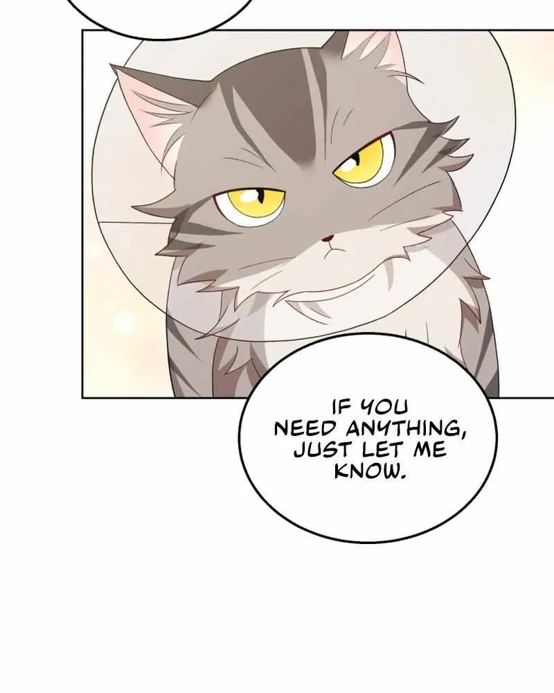 Hello! Veterinarian! Chapter 15 page 51 - 
