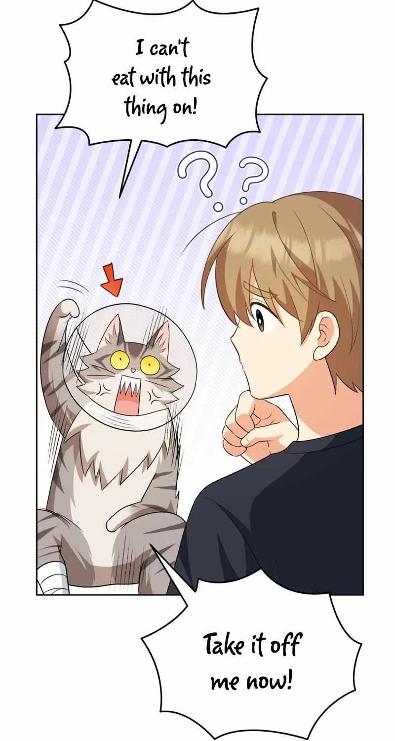 Hello! Veterinarian! Chapter 15 page 60 - 