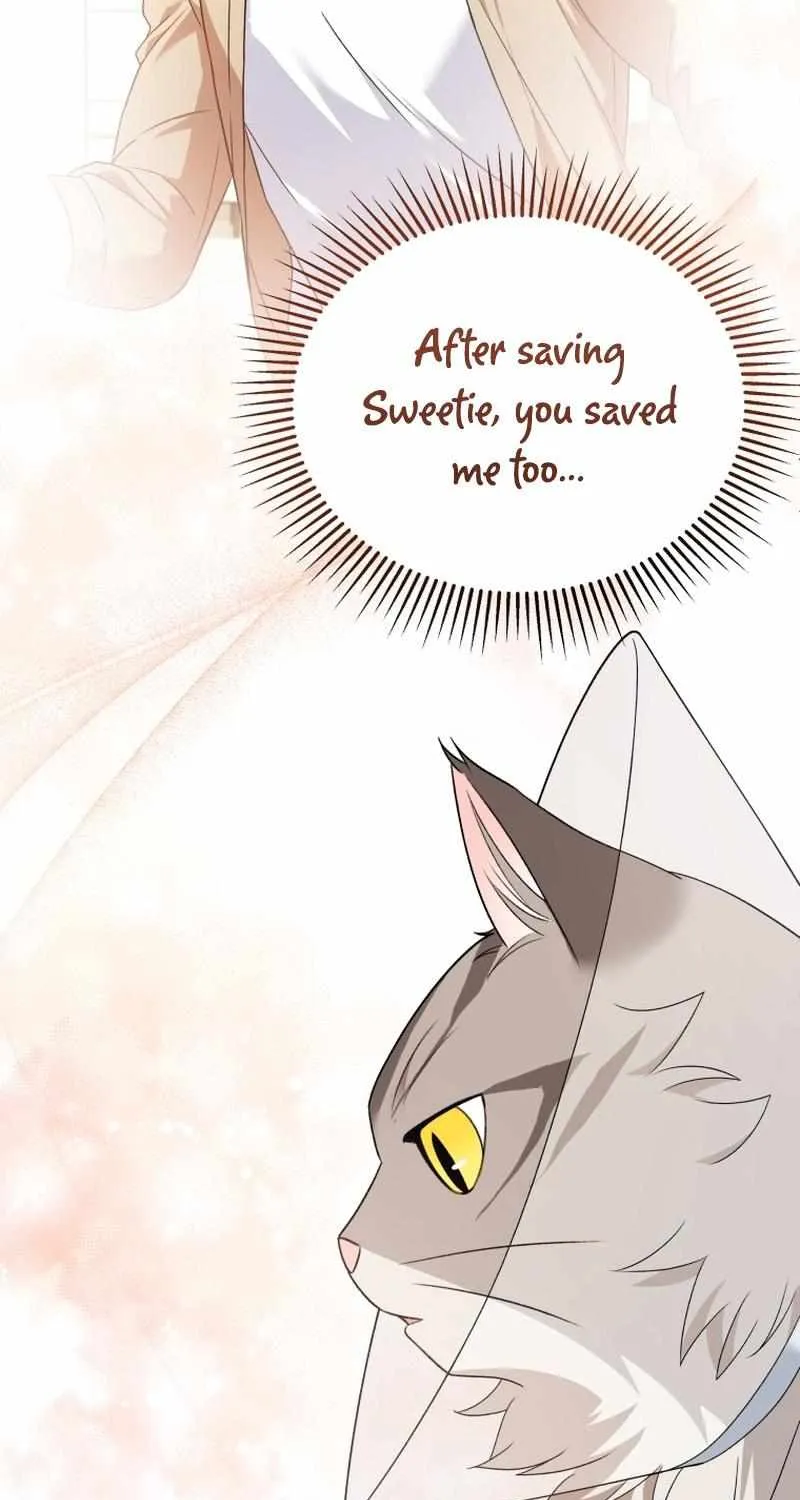 Hello! Veterinarian! Chapter 15 page 7 - 