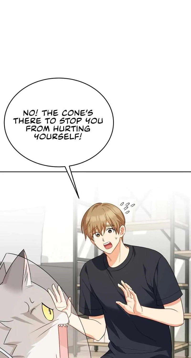 Hello! Veterinarian! Chapter 15 page 61 - 