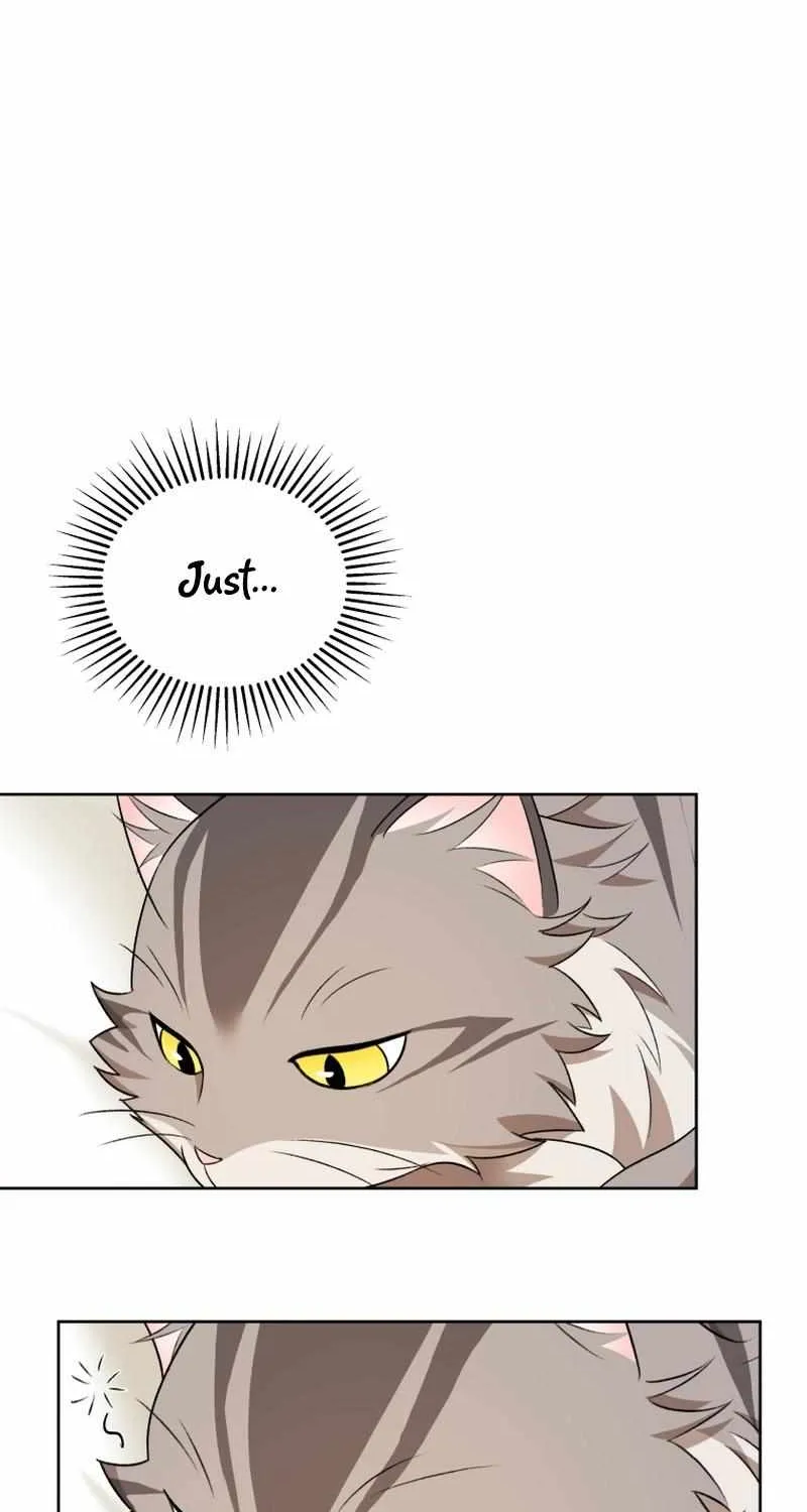 Hello! Veterinarian! Chapter 15 page 74 - 