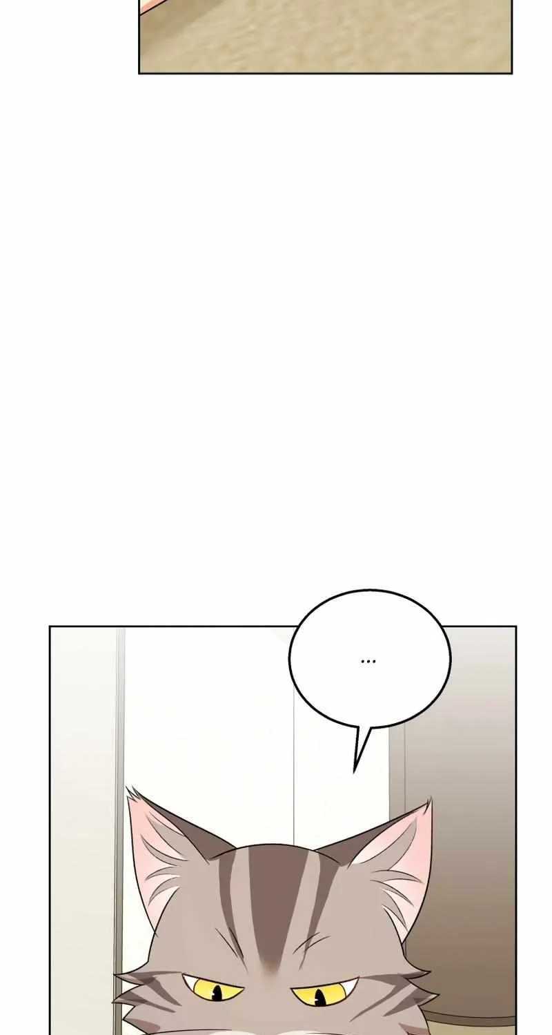 Hello! Veterinarian! Chapter 15 page 91 - 