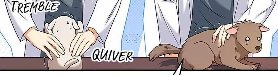 Hello! Veterinarian! Chapter 16 page 103 - 