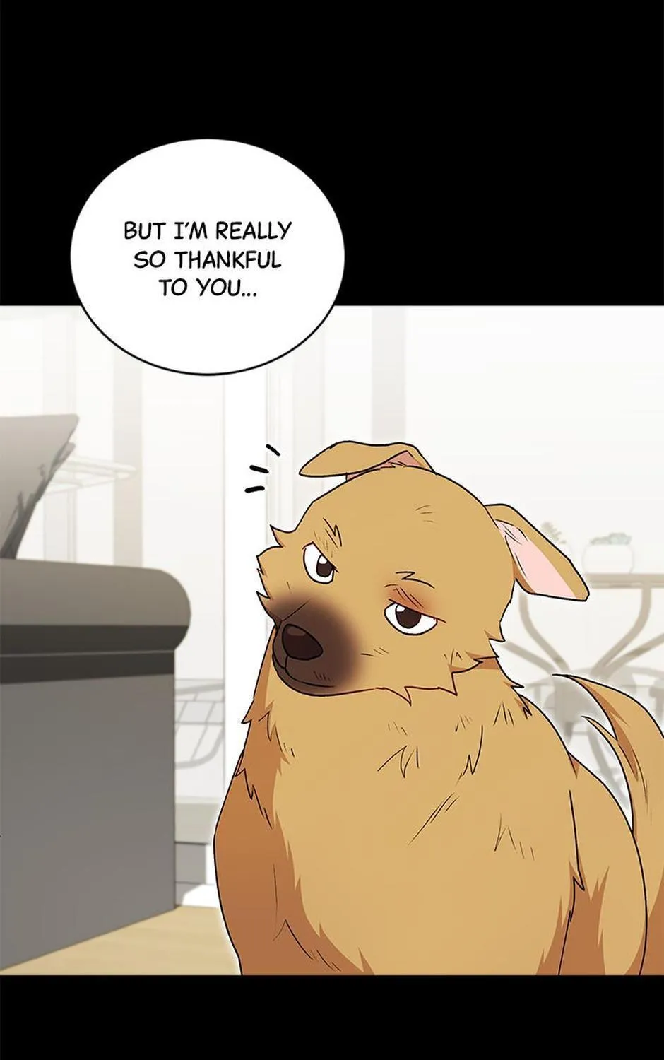 Hello! Veterinarian! Chapter 18 page 23 - 