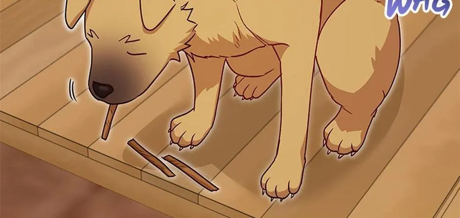 Hello! Veterinarian! Chapter 19 page 71 - 