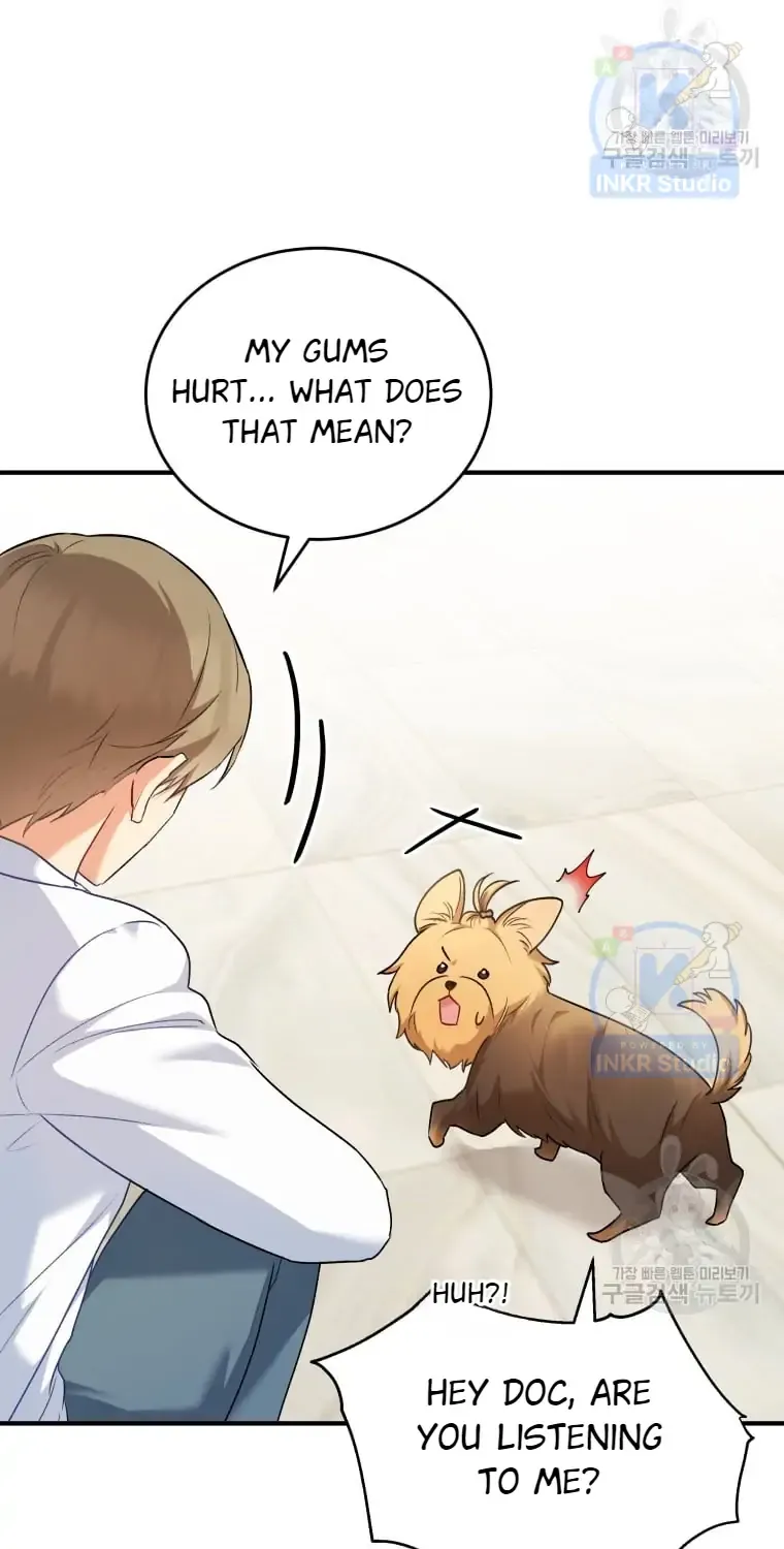 Hello! Veterinarian! Chapter 2 page 48 - 